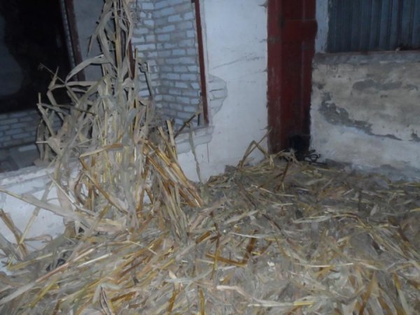 Екс-завод в Ківерцях став домом для бомжів