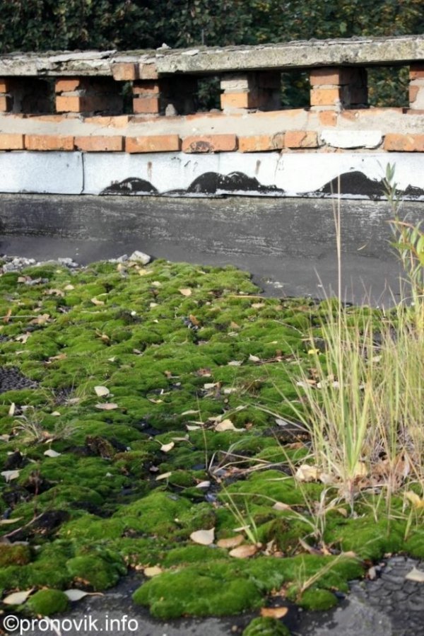 Як у Нововолинську занепадає міжшкільний комбінат. ФОТО