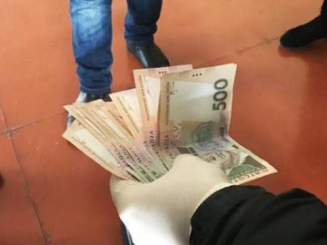 Хабар із запахом кави: очільник волинського вишу «взяв на лапу». ФОТО