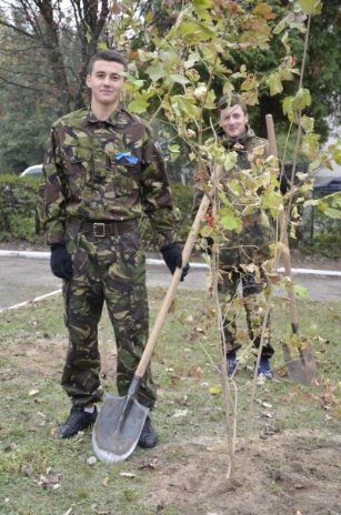 У Луцьку школярі висадили калинову алею. ФОТО