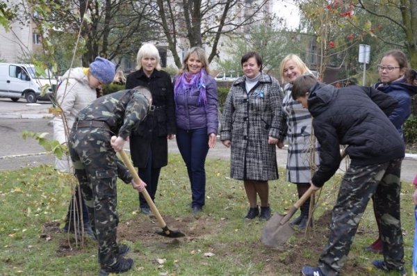 У Луцьку школярі висадили калинову алею. ФОТО