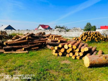 На Волині приватне підприємство підозрюють у незаконному знищенні лісу