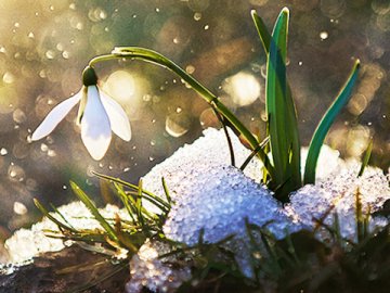 Погода в Луцьку та Волинській області на завтра, 27 лютого