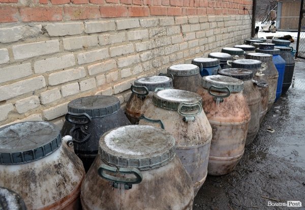 Собачий притулок у Луцьку пережив важку зиму. ФОТО