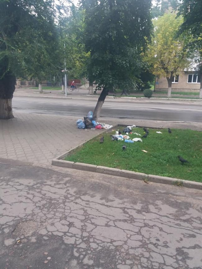У Ковелі невідомі викинули сміття посеред вулиці. ФОТО