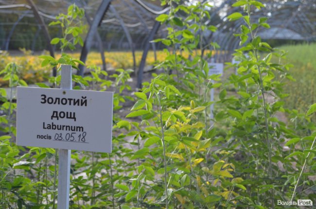 Поляків вражає робота волинських селекційних розсадників