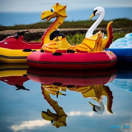 Митці оцінили рівень відпочинку на Шацьких озерах. ФОТО