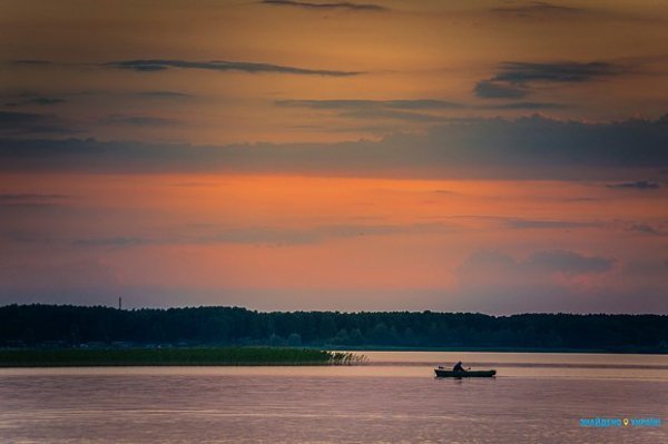 Митці оцінили рівень відпочинку на Шацьких озерах. ФОТО