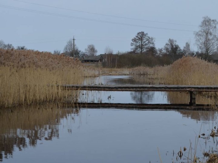 У річках волинського нацпарку зафіксували низький рівень води. ФОТО