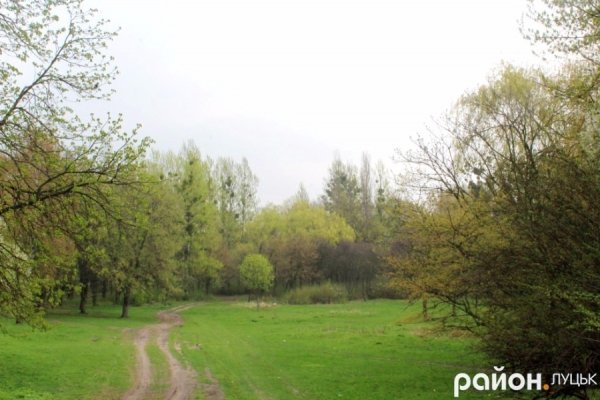 У Луцьку росте унікальний парк