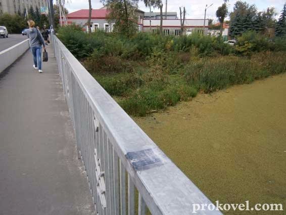 У Ковелі «помирає» річка Турія. ФОТО. ВІДЕО