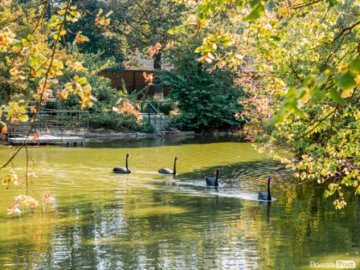Остання неділя жовтня на Волині буде теплою, з понеділка – холод