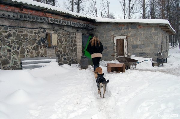 Як гріються тварини у Луцькому зоопарку. ФОТО