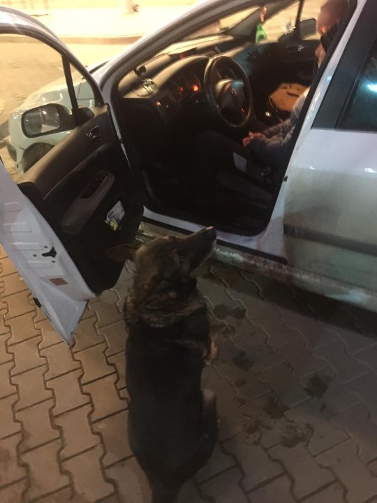 Через волинський кордон їхала жінка з наркотиками у коробці з-під цукерок. ФОТО