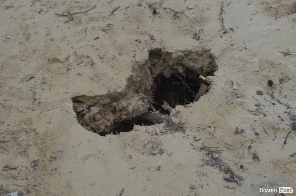 Міністр екології на власні очі побачила незаконні копанки бурштиношукачів. ФОТО