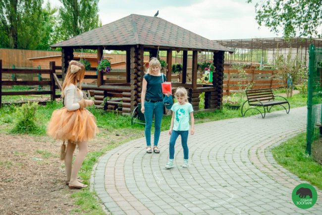 Як у луцькому зоопарку відгуляли День тигра. ФОТО