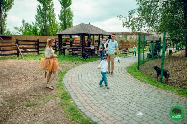 Як у луцькому зоопарку відгуляли День тигра. ФОТО