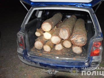 На Волині затримали трьох водіїв з незаконною деревиною. ФОТО