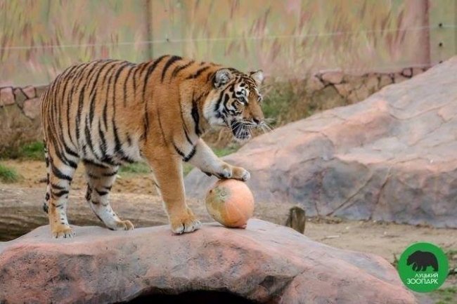 Куди піти на вихідні у Луцьку: 19-21 жовтня