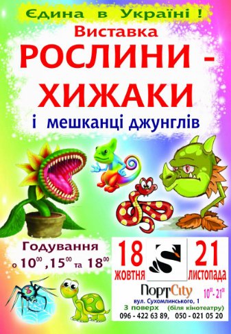 Куди піти на вихідні у Луцьку: 19-21 жовтня