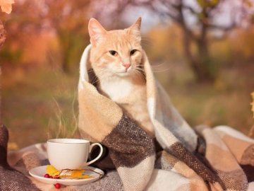 Чи буде тепло: синоптик спрогнозувала погоду на наступний тиждень