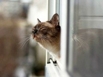 Погода в Луцьку та Волинській області на вихідні, 23 і 24 лютого