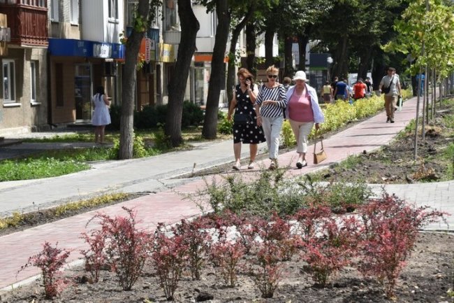 На Волі у Луцьку висадять чотири тисячі кущів