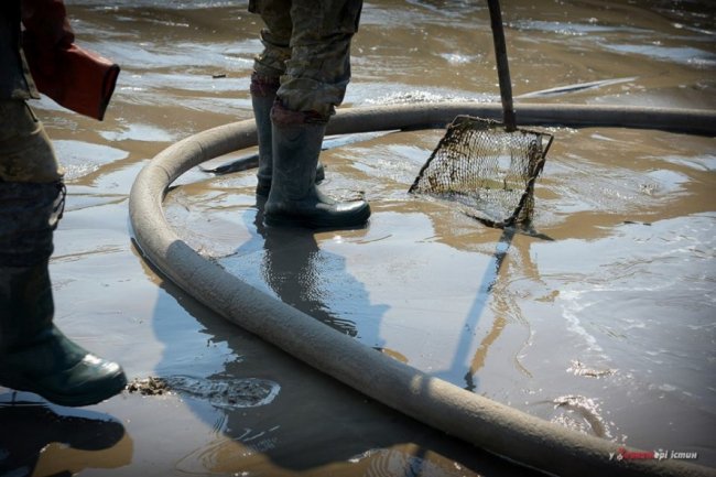 Фотограф показав космічні пейзажі бурштинових районів Рівненщини. ФОТО