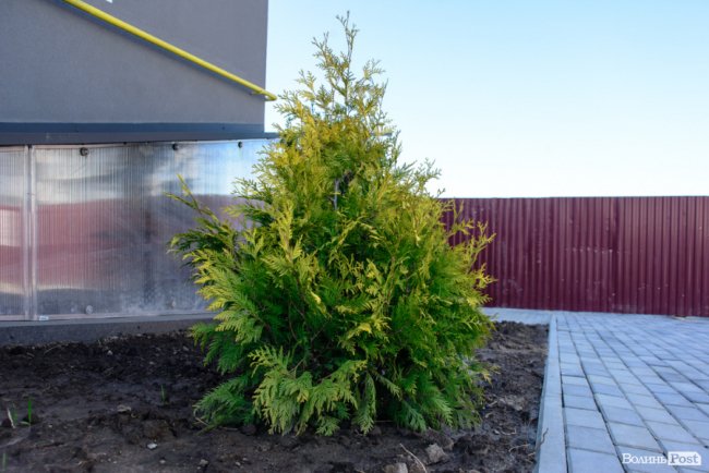 Здача нового будинку і озеленення території: затишне і сучасне житло у ЖК «Західний Олімп» під Луцьком*