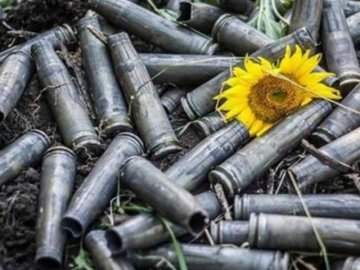 У Луцьку на фасаді коледжу хочуть встановити меморіальні дошки загиблим на Сході випускникам 