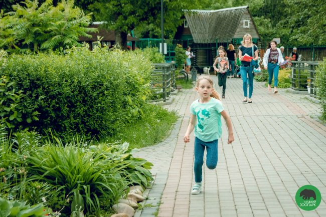 Як у луцькому зоопарку відгуляли День тигра. ФОТО