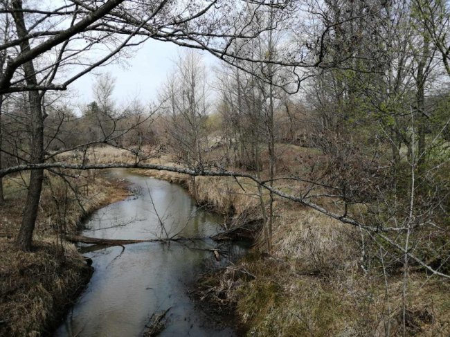 «Сховищу радіаційних відходів загрози немає», –  повідомили про ситуацію з пожежами в Україні