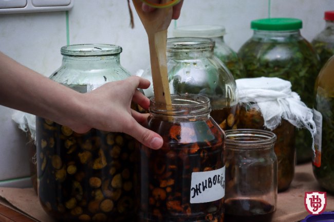 У волинському університеті виготовляють мазі для ЗСУ. ФОТО