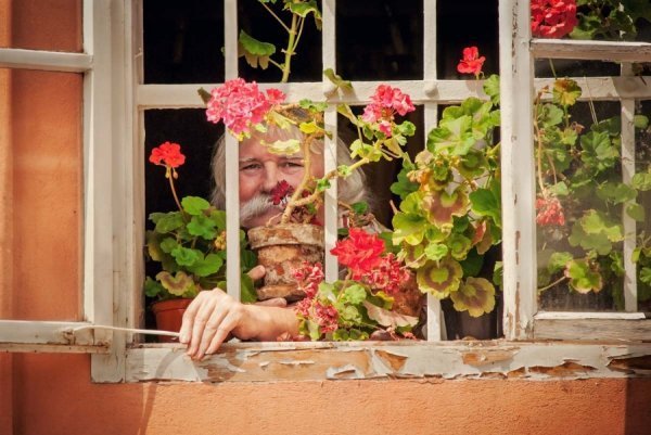 Фотовиставка Ніни Ліщук