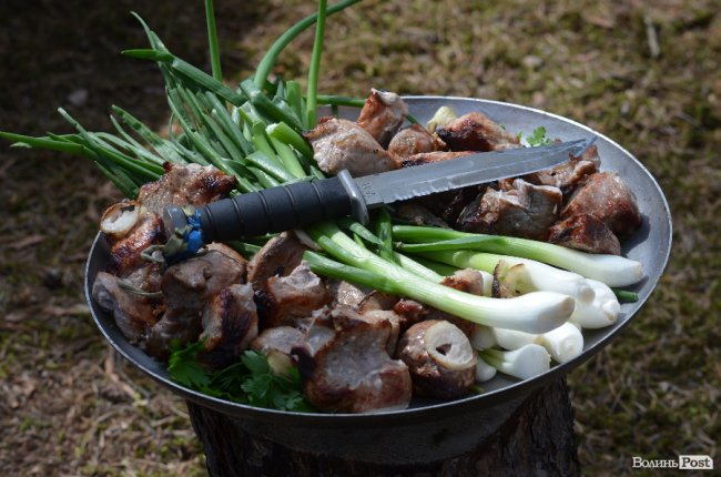 Війна у лісах Волині: підготовка загонів тероборони