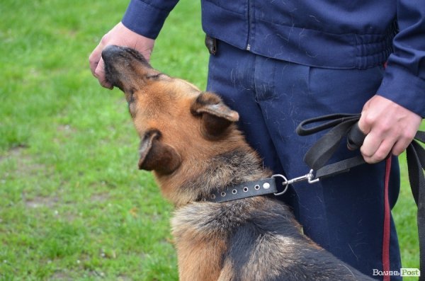 За кадром, поки господар Джолі дає інтерв'ю