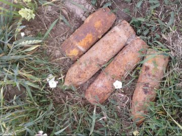 Волиняни в полі знайшли боєприпаси