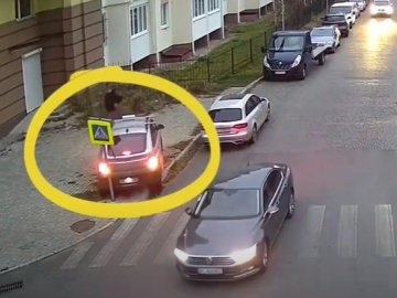 У Луцьку водій збив дорожній знак і втік. ВІДЕО