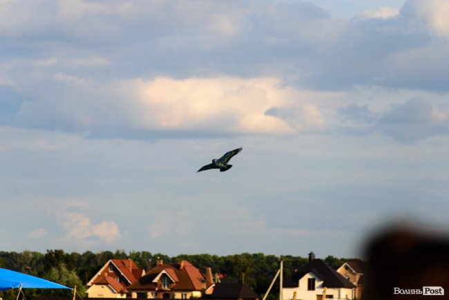 Яким був другий день на фестивалі «Бандерштат» у Луцьку. ФОТОРЕПОРТАЖ