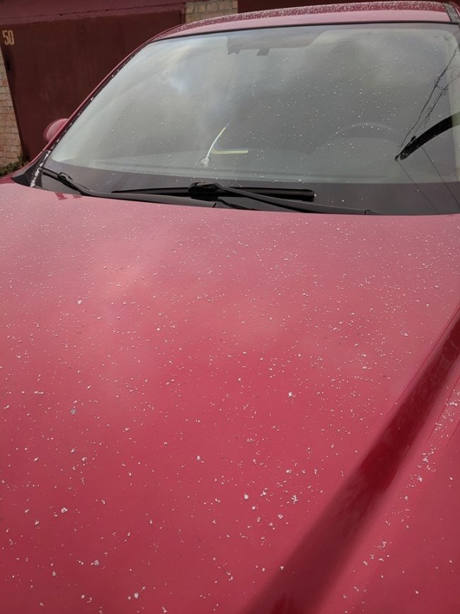 У Києві випав сніг. ФОТО