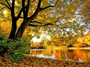 29 вересня – яке сьогодні свято та що не можна робити в цей день