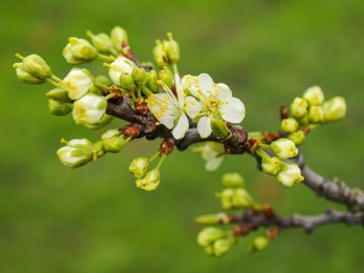 Якою буде погода на Волині у перші дні квітня
