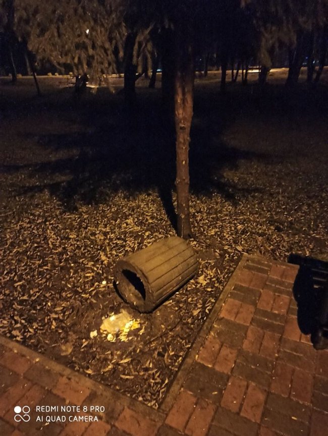 «Група приматів-вандалів» вкотре поперекидала смітники у луцькому парку. ФОТО