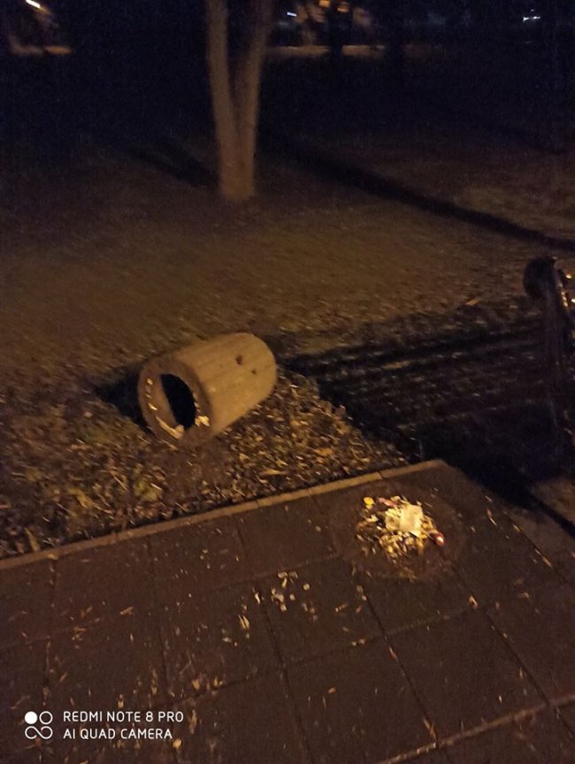 «Група приматів-вандалів» вкотре поперекидала смітники у луцькому парку. ФОТО