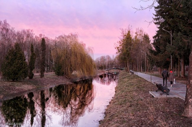 Казковий захід сонця у луцькому парку. ФОТО
