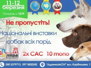 У Луцьку відбудеться виставка собак