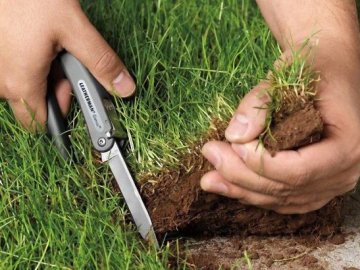 Луцькому підприємцю не віддали землю для ведення бізнесу