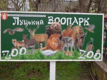 «Не вбивайте наших тварин!» - відвідувачів луцького зоопарку просять не годувати звірів