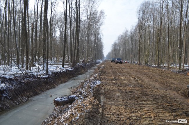 Лісівники показали, як підкорюють волинські джунглі. ФОТО