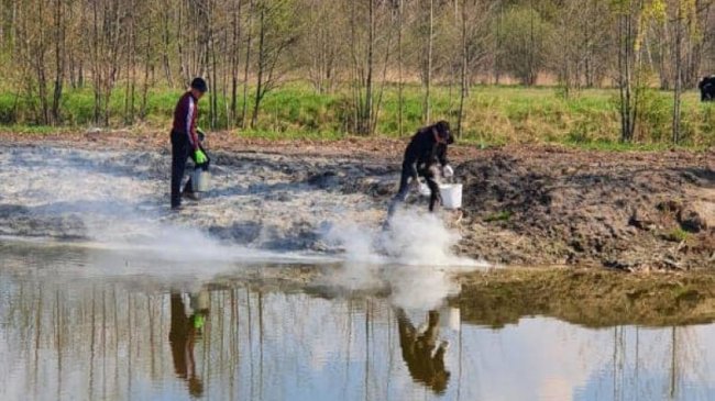 В громаді на Волині вапнують озеро: для чого це потрібно